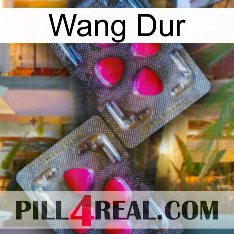 Hard Wang 15